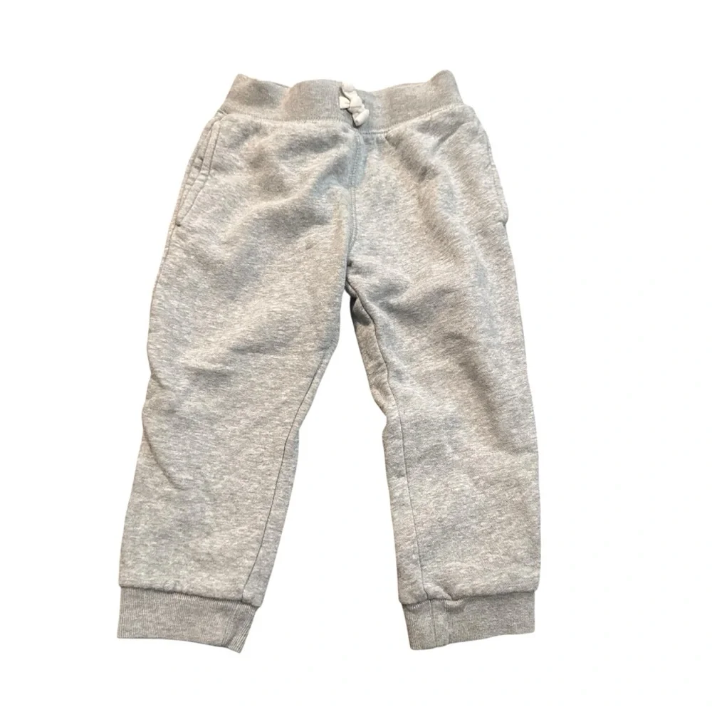 The Children’s Place Gray Boys Sweats Size 2T